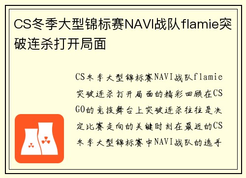 CS冬季大型锦标赛NAVI战队flamie突破连杀打开局面