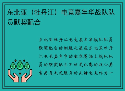 东北亚（牡丹江）电竞嘉年华战队队员默契配合